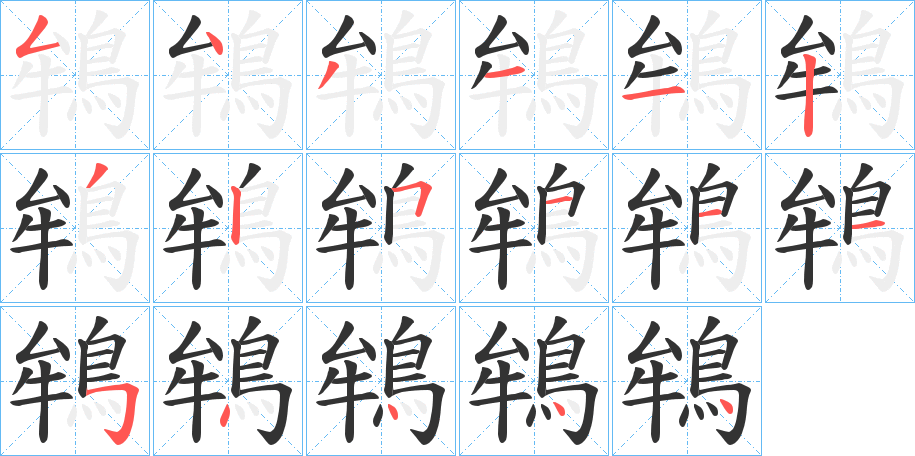 鴾 鴾