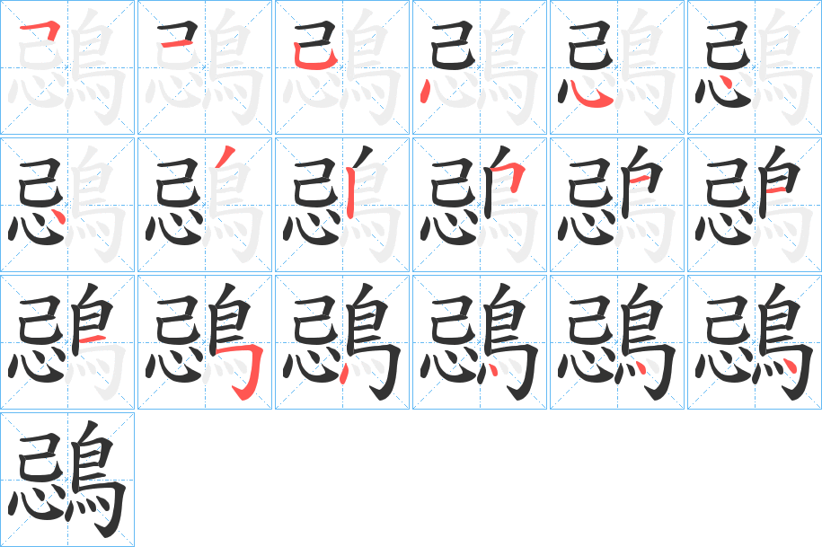 鵋 鵋