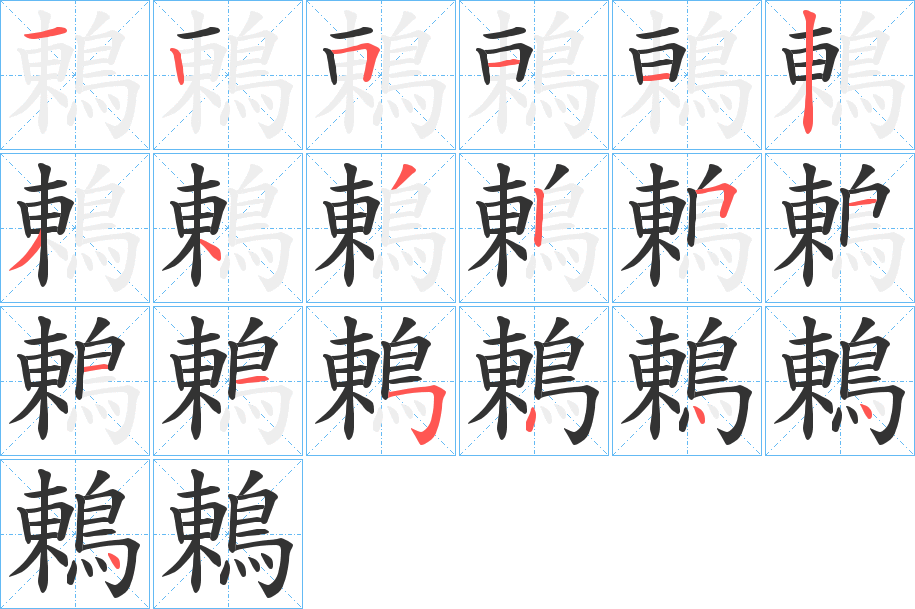 鶇 鶇
