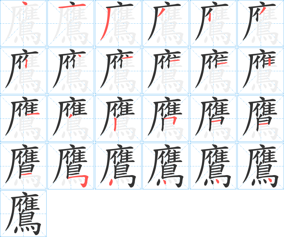 鷹 鷹