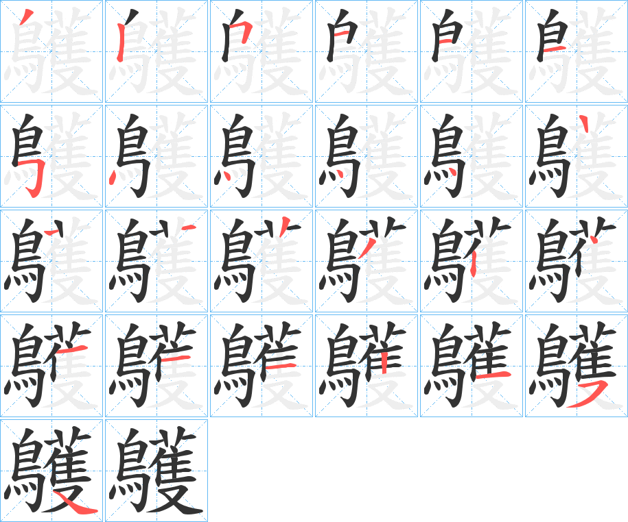 鸌 鸌
