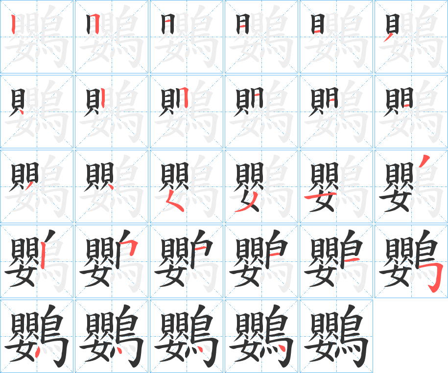 鸚 鸚