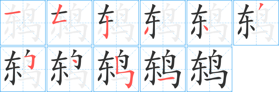 鸫 鸫