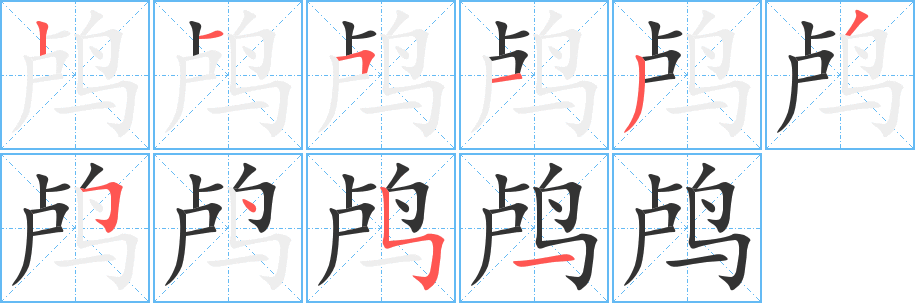 鸬 鸬