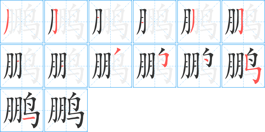 鹏 鹏