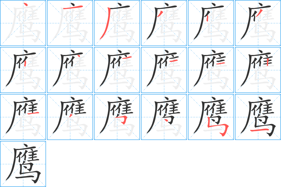 鹰 鹰